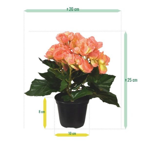 Begonia-kunstplant-20-cm-zalm-in-potje-4 Begonia kunstplant 20 cm zalm in potje 4