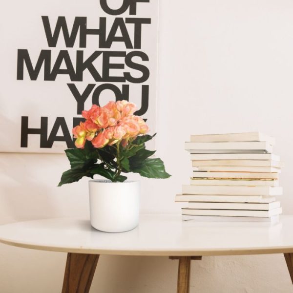 Begonia-kunstplant-20-cm-zalm-in-potje-5 Begonia kunstplant 20 cm zalm in potje 5