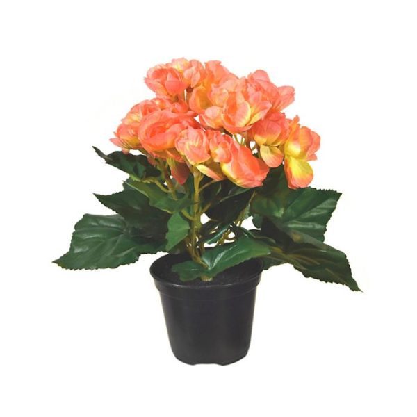 Begonia-kunstplant-20-cm-zalm-in-potje-7 Begonia kunstplant 20 cm zalm in potje 7