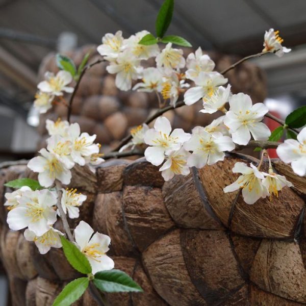 Bloesem kunsttak deluxe 120 cm creme 4