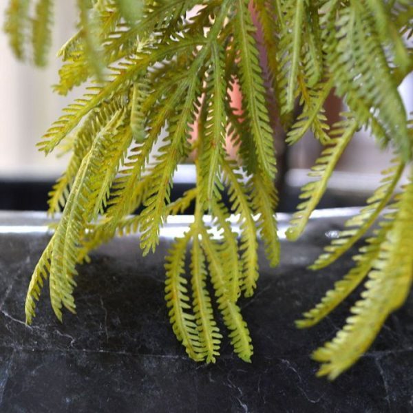 Kunstbloemen grillige structuur. De 36 dubbel geveerde bladeren zijn van plastic en bijzonder natuurgetrouw nagemaakt. De lengte van de bonsai-tak is ongeveer 70 cm