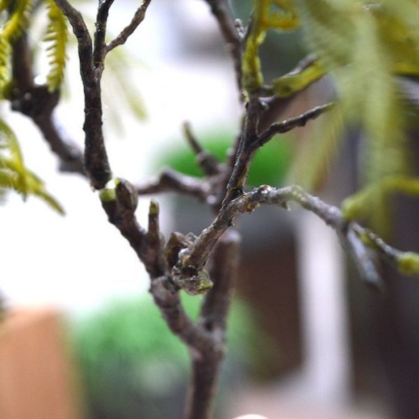 Kunst bladtakken de breedte is al gauw 40 cm en perfect te gebruiken in arrangementen en kunstboeketten. Vanaf 12 stuks profiteert u van de kortingsprijs.