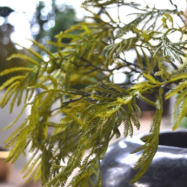 Bonsai-Varen-kunsttak-70-cm-6 Bonsai Varen kunsttak 70 cm 6