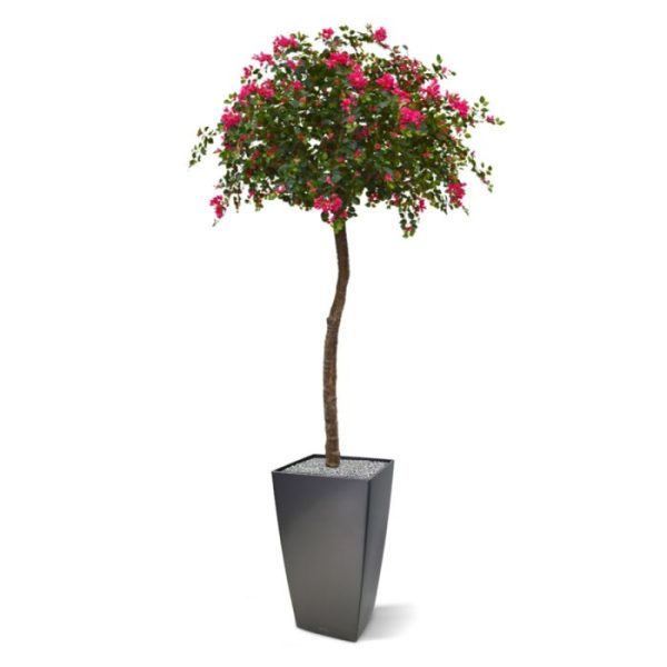 Kunstbomen de diameter is ongeveer 170 cm. Ondanks zijn hoogte kan deze prachtig bloeiende boom in hoge als ook lage potten geplaatst worden. Kies wel een sierpot met een brede onderzijde