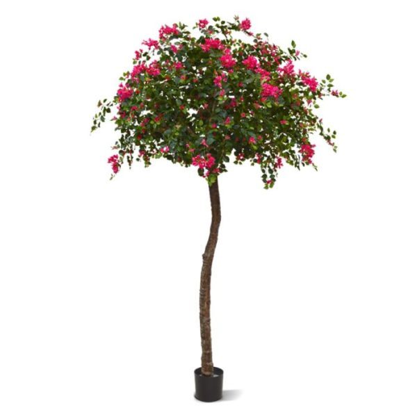Bougainvillae-Bal-XL-275-cm-Cerise-10 Bougainvillae Bal XL 275 cm Cerise 10