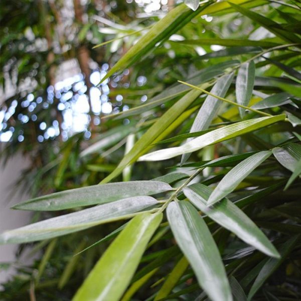 Buddha Bamboe Deluxe kunstplant 125 cm 4