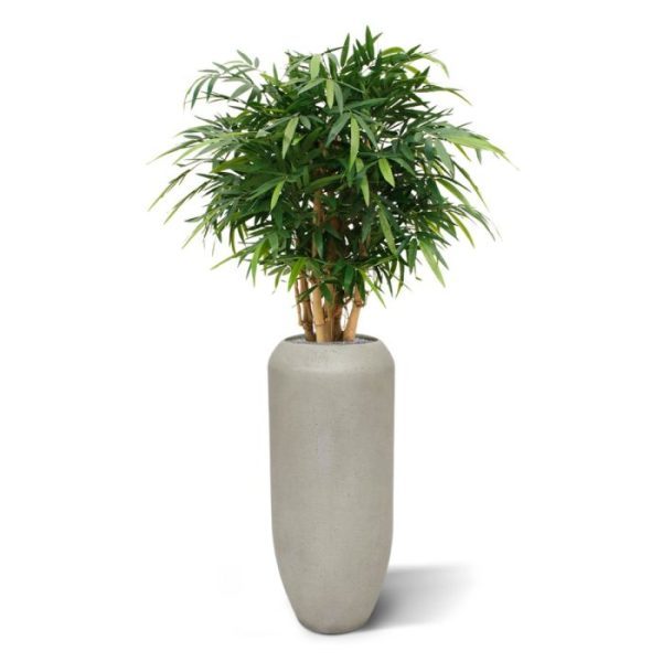 De Buddha Bamboe Deluxe is een exclusieve kunstplant uit het Bamboe assortiment. Deze extra zware uitvoering is gemaakt op echte Buddha Bamboestokken