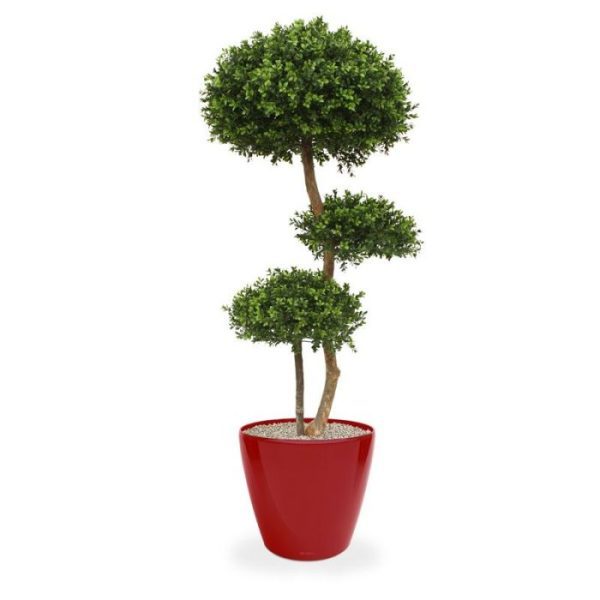 Kunstbomen waardoor de bollen geschikt zijn voor zowel binnen als buiten. De 3 buxus lagen