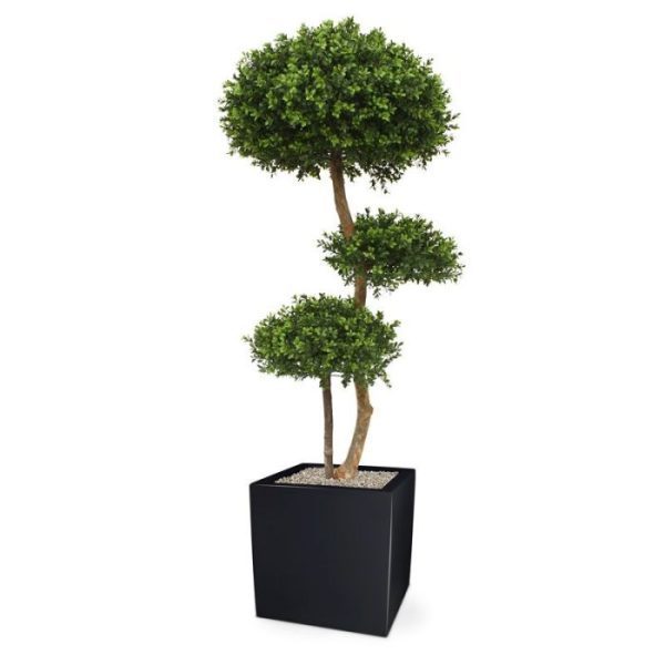 Buxus-Bol-Deluxe-x3-140-cm-6 Buxus Bol Deluxe x3 140 cm 6