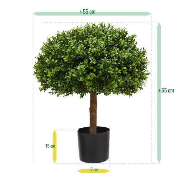 Buxus Bol Half 60 cm UV 5