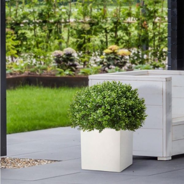 Buxus Bol Half 60 cm UV 6