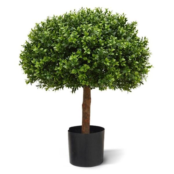 Buxus Bol Half 60 cm UV 9