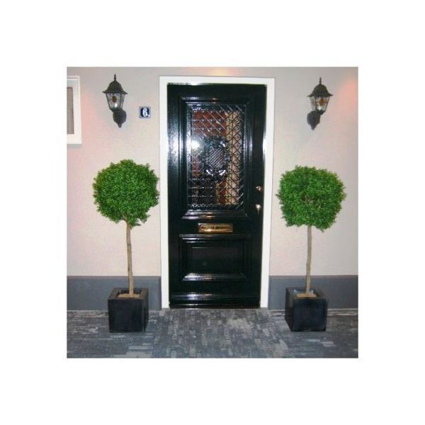 Buxus-Bol-op-stam-deluxe-140-cm-10 Buxus Bol op stam deluxe 140 cm 10