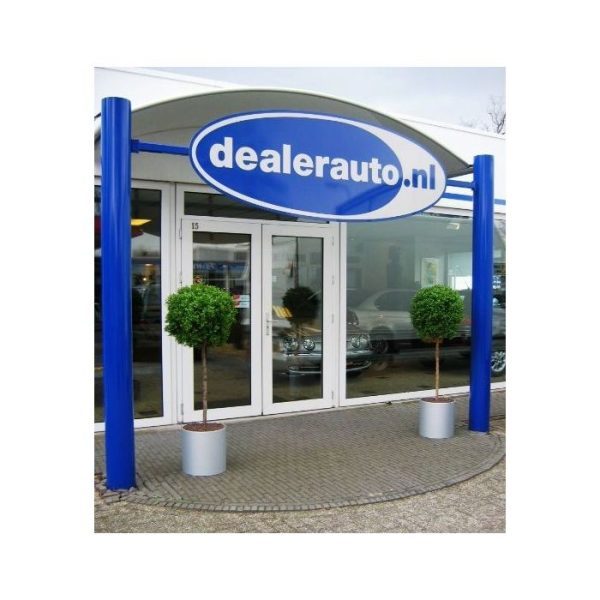 Buxus-Bol-op-stam-deluxe-140-cm-5 Buxus Bol op stam deluxe 140 cm 5