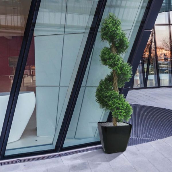 Buxus Deluxe Spiraal 170 cm UV 5