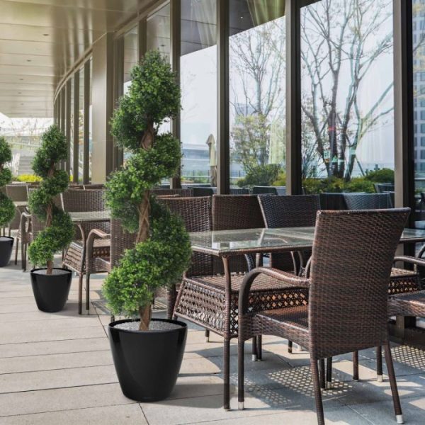 Buxus Deluxe Spiraal 170 cm UV 6