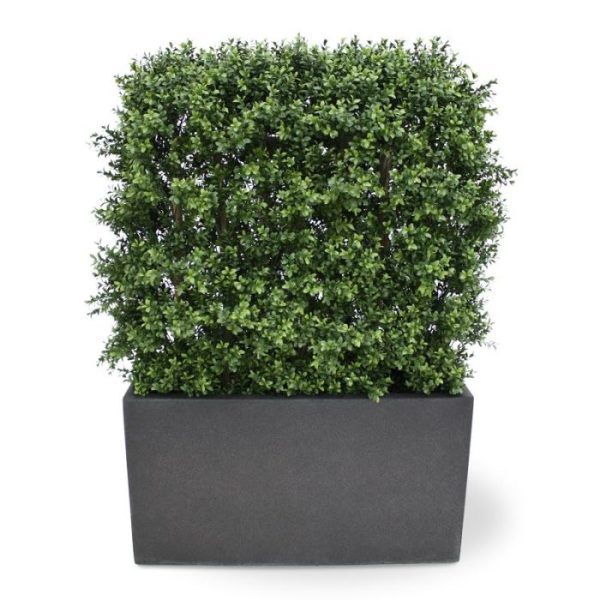 Buxus Heg Deluxe 80x100 cm 5