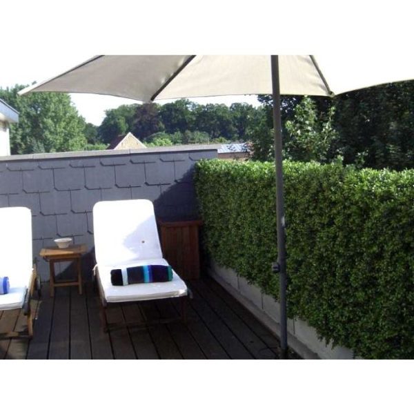 Deze Kunstbuxus Heg Deluxe 80x100 cm is gemaakt van kwalitatief pvc-plastic