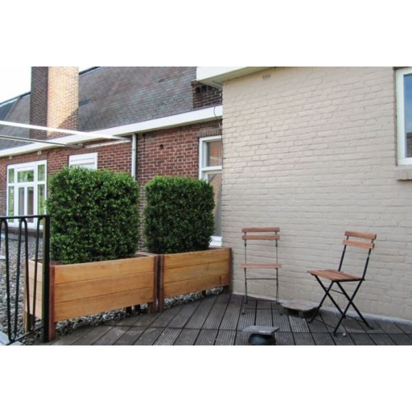 Buxus Heg Deluxe 80x100 cm 7