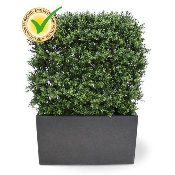 Buxus-Heg-Deluxe-80x100-cm-UV-6 zullen deze gedurende 8 jaar lang beschermt zijn tegen verkleuren. Let op! De stam is van echt hout en dus vatbaar voor weersinvloeden en zwammen. Voor een langere levensduur raden wij aan om de stam te behandelen met een primer of beits.