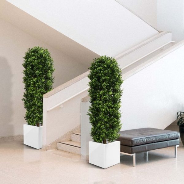 Buxus-Kolom-Deluxe-125-cm-10 Buxus Kolom Deluxe 125 cm 10