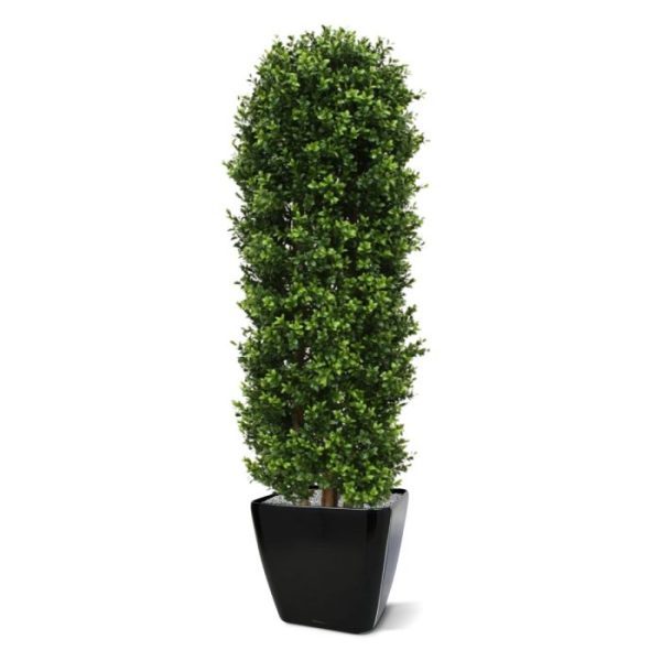 Groene kunstbomen met een diameter van ongeveer 40 cm.  Standaard wordt de Buxuskolom geleverd in een plastic binnenpot. In lage vierkante bakken komt deze Buxus het beste tot zijn recht. Deze Buxus variant is er ook in een hoogte van 90 cm.