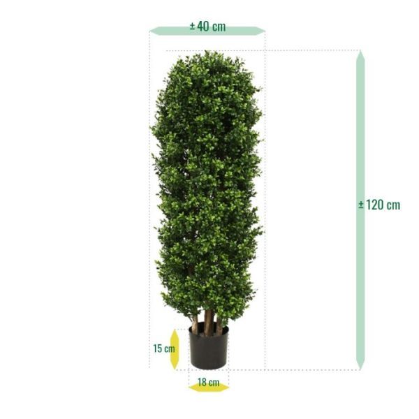 Buxus-Kolom-Deluxe-125-cm-4 Buxus Kolom Deluxe 125 cm 4