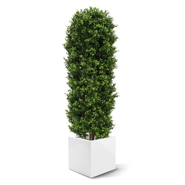 Buxus-Kolom-Deluxe-125-cm-9 Buxus Kolom Deluxe 125 cm 9