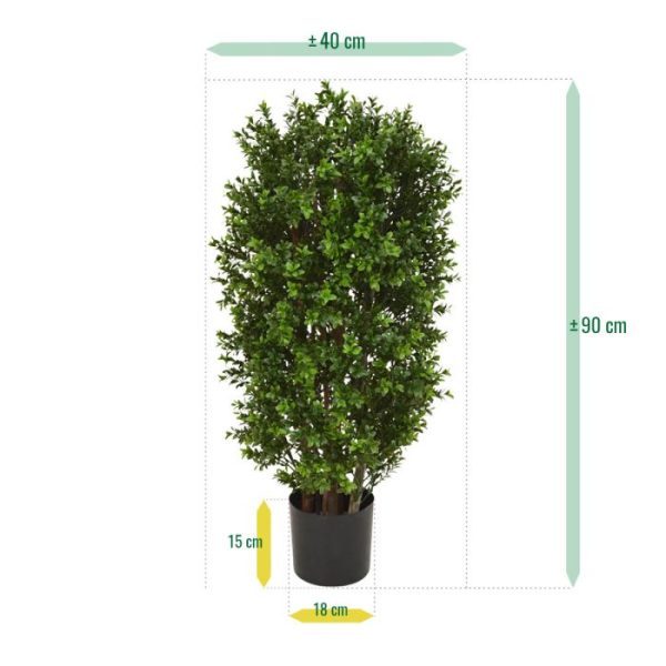 Buxus-Kolom-Deluxe-90-cm-4 Buxus Kolom Deluxe 90 cm 4