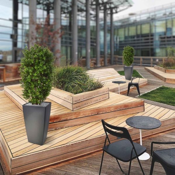 Buxus-Kolom-Deluxe-90-cm-6 Buxus Kolom Deluxe 90 cm 6