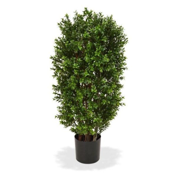 Buxus-Kolom-Deluxe-90-cm-7 Buxus Kolom Deluxe 90 cm 7