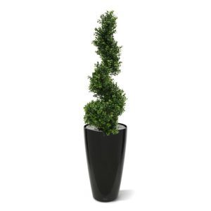 Deze kunst Buxus Spiraal Deluxe 100 cm is gemaakt van een hoogwaardige pvc. Daardoor kunt u deze UV kunstboom zowel binnen als buiten een mooie plek geven.   De vernieuwde versie is met name door zijn kleur en nieuwe blaadjes bijna niet meer van de echte Buxusboom te onderscheiden en bijzonder decoratief! De kunst Spiraalboom is ongeveer 105 cm hoog en heeft een breedte van ongeveer 35 cm.   Deze natuurgetrouw nagemaakte kunstplant wordt standaard geleverd in een plastic binnenpot.   Omdat de UV-protector enkel in de grondstof van de kunststof delen is verwerkt