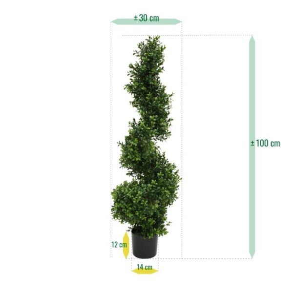 Buxus Spiraalboom Deluxe 100 cm UV 4