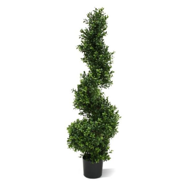 Buxus Spiraalboom Deluxe 100 cm UV 8