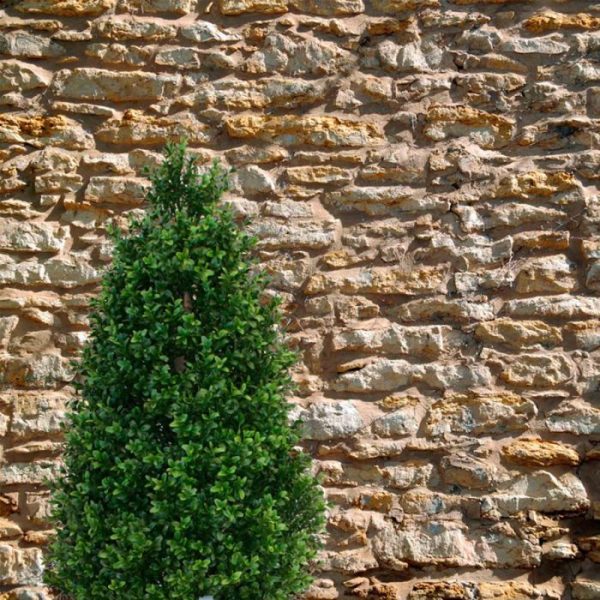Buxus-Tower-kunstboom-170-cm-UV-3 is zo'n 170 cm hoog