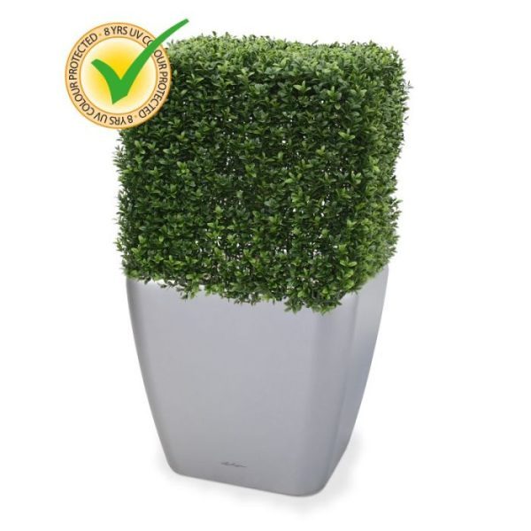 Kunstbomen vierkante Buxus kunstboom is gemaakt van een hoogwaardig pvc. Daardoor is deze UV kunstboom ideaal om buiten mooie decoraties mee te maken. De vernieuwde versie is met name door zijn kleur en nieuwe blaadjes bijna niet meer van de echte Buxus te onderscheiden! De kunstbuxus meet aan alle zijden ongeveer 45-50 cm en wordt standaard geleverd in een plastic pot. De afgebeelde sierpot is tegen meerprijs leverbaar. Omdat de UV-protector enkel in de grondstof van de kunststof delen is verwerkt