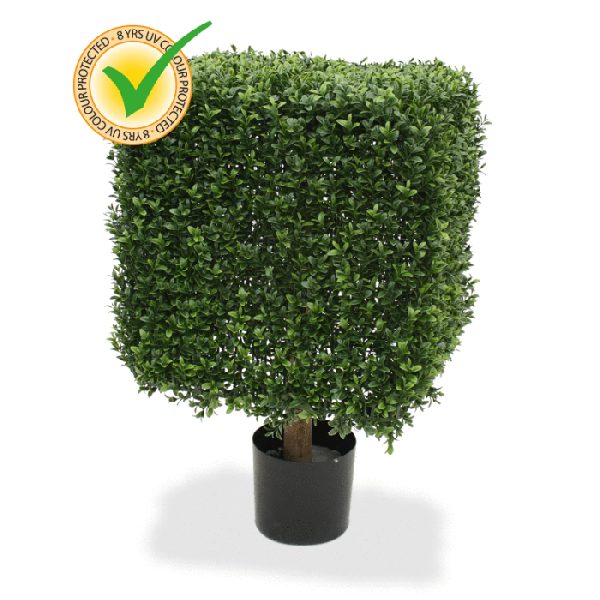 Buxus-Vierkant-45-cm-UV-4 Buxus Vierkant 45 cm UV 4