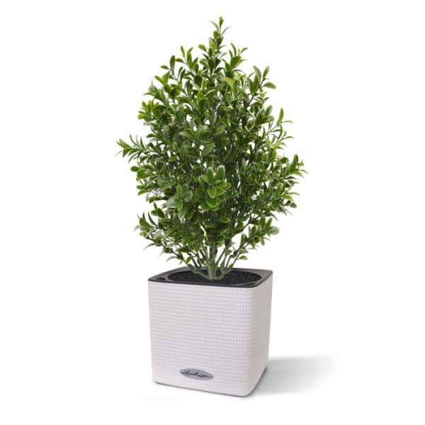 kunststof Buxus boeket 30 cm is een decoratief tafelplantje dat zich graag laat zien op de vensterbank thuis