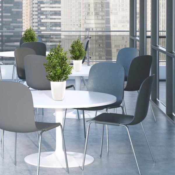 zodat het gemakkelijk in uw eigen pot opgestoken kan worden of vormt het de basis voor prachtige planten arrangementen! Vanaf 12 stuks geldt een voordeel prijs. De getoonde potten zijn tegen meerprijs direct en gemakkelijk mee te bestellen.