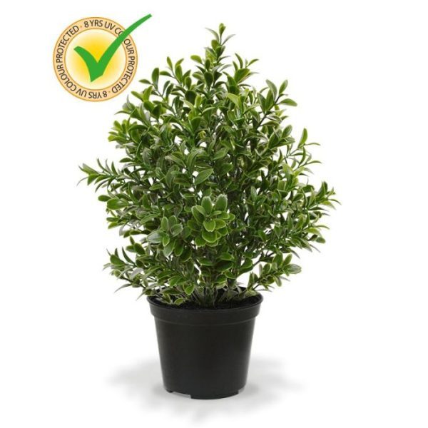 Buxus kunstplant 30 cm UV in pot 6