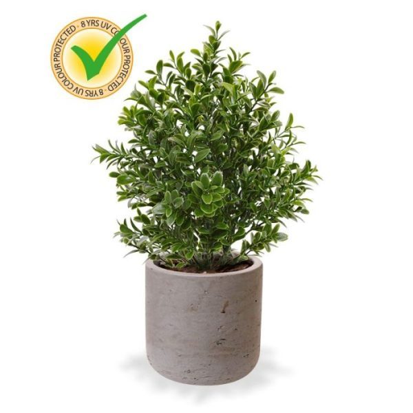 Buxus kunstplant 30 cm UV in pot 8