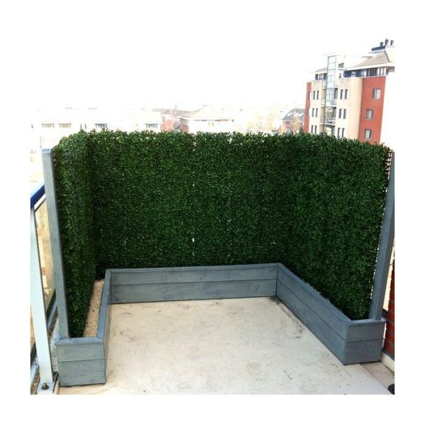 Buxus-matje-x300-4 Buxus matje x300 4