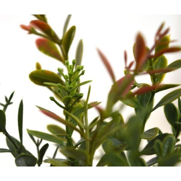 heeft verschillende zijtakken en een keur aan verschillende rood en groen gekleurde blaadjes. De subtiel nagemaakte Buxus tak heeft een lengte van ongeveer 45 cm (inclusief steel) en een breedte van ongeveer 17 cm. Vraag ons naar de diverse mogelijkheden en toepassingen!