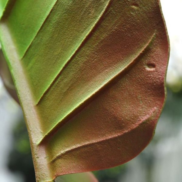 Kunst bladtakken Caladium kunstblad deluxe 75 cm 2