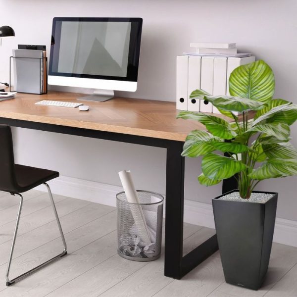 Calathea-Fasciata-kunstplant-70-cm-10 Calathea Fasciata kunstplant 70 cm 10