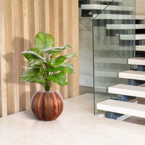 Calathea-Fasciata-kunstplant-70-cm-5 Calathea Fasciata kunstplant 70 cm 5