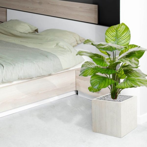 Calathea-Fasciata-kunstplant-70-cm-6 Calathea Fasciata kunstplant 70 cm 6