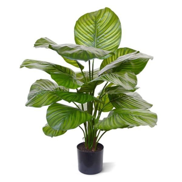 Calathea-Fasciata-kunstplant-70-cm-9 Calathea Fasciata kunstplant 70 cm 9
