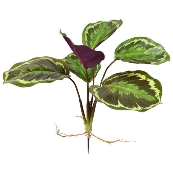 Calathea Ornata kunstboeket 25 cm 6
