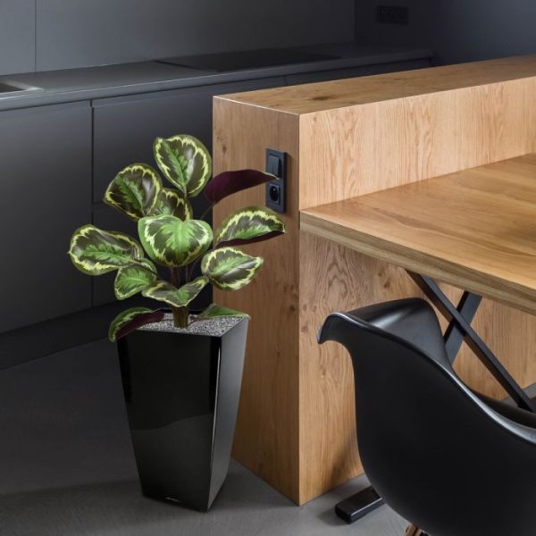 deze fantastische nagemaakte kunstcalathea in boeketvorm. Kijk die zorgvuldige strakke strepen zich daar nu eens verfijnd afwisselen op dat blad. Het is toch net een tekening? Om het over die perfect geïmiteerde wortels aan de onderkant nog maar niet eens te hebben. Net echt